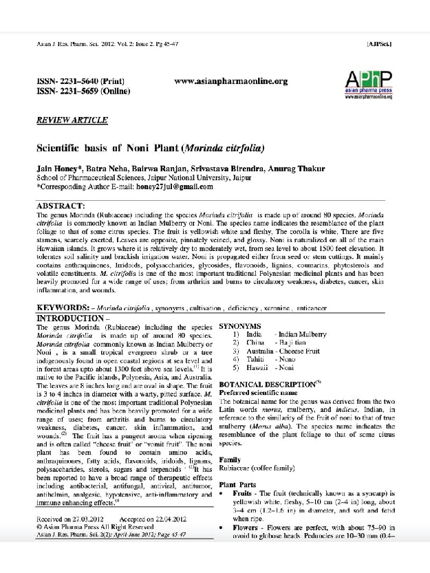 240625-RESEARCH-05.jpg